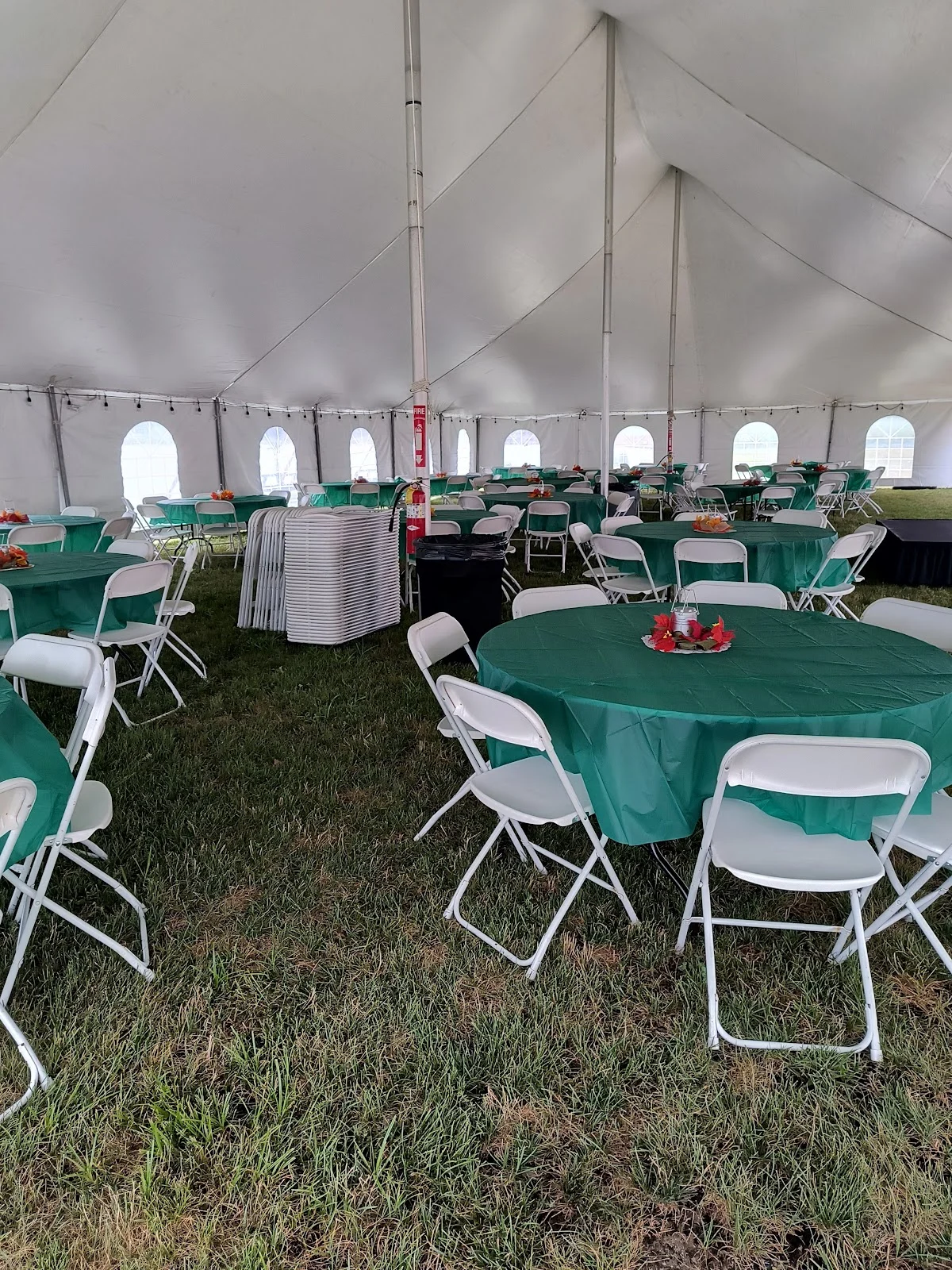 Ace Party Rental - 2