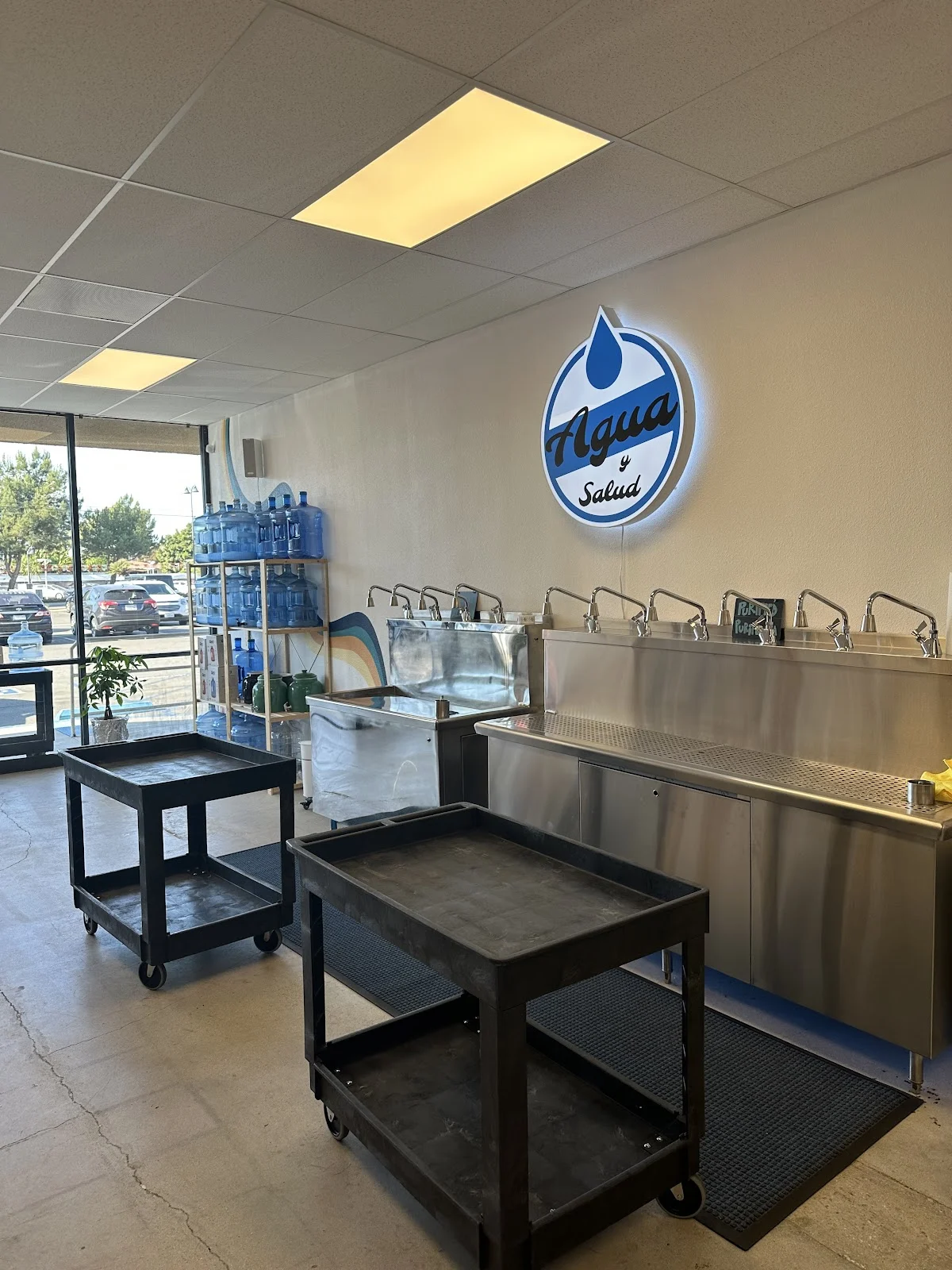 Agua Y Salud