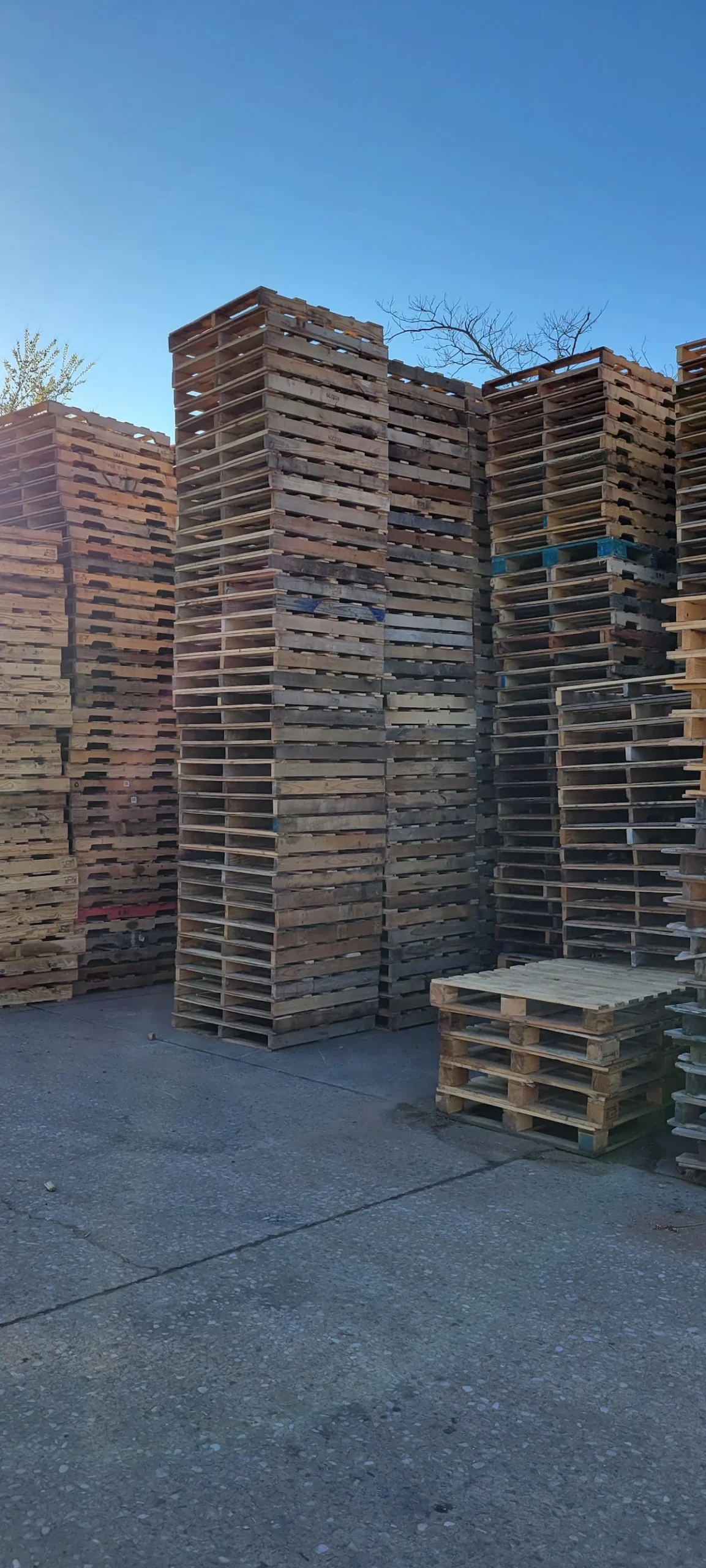 Alex Pallets LLC