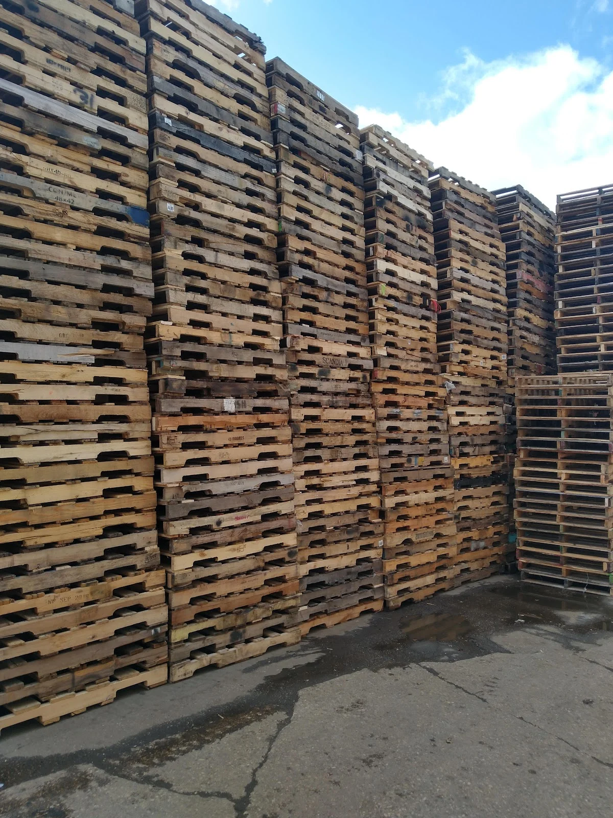 AUER PALLET - 2
