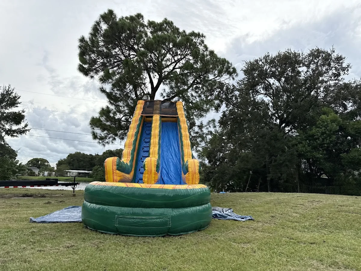 Bounce Party & Print