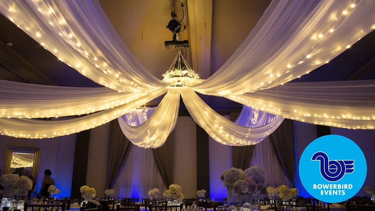Bowerbird Events