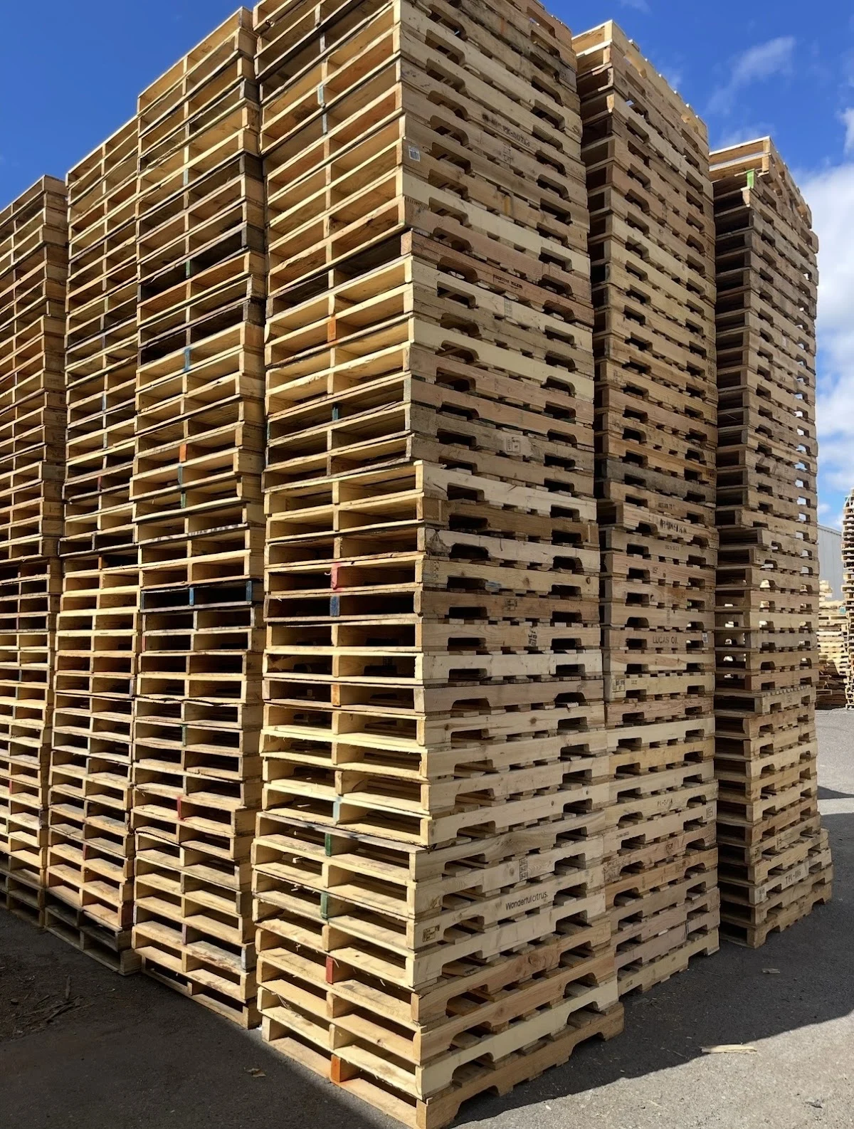 Camilas Pallets