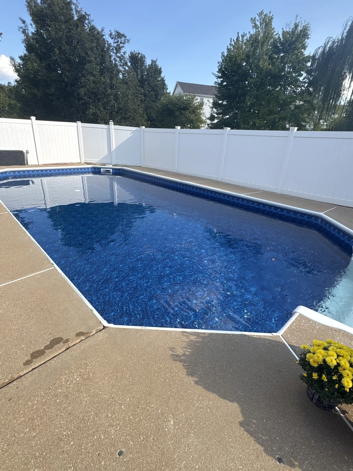 Four Seasons Pool - 3