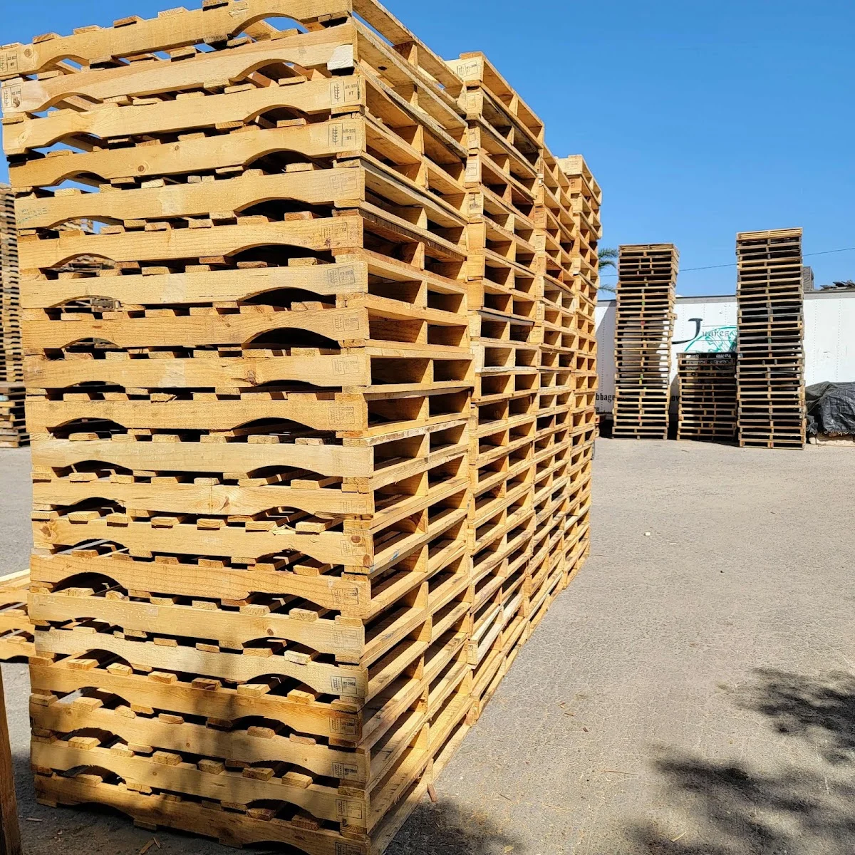 Juarez Pallets - 2