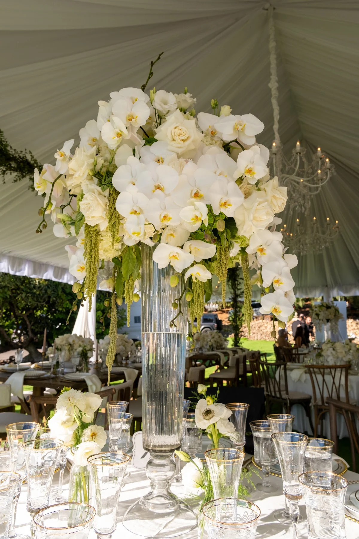 Lopez's Events & Rentals - 3
