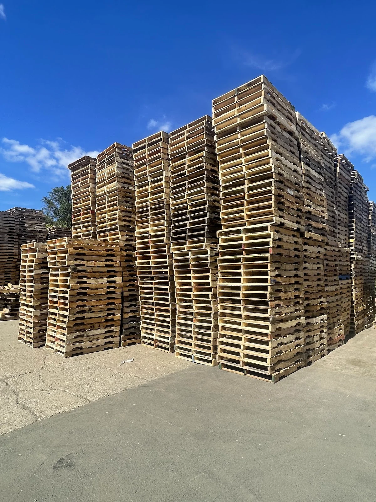 Love Pallet Co.
