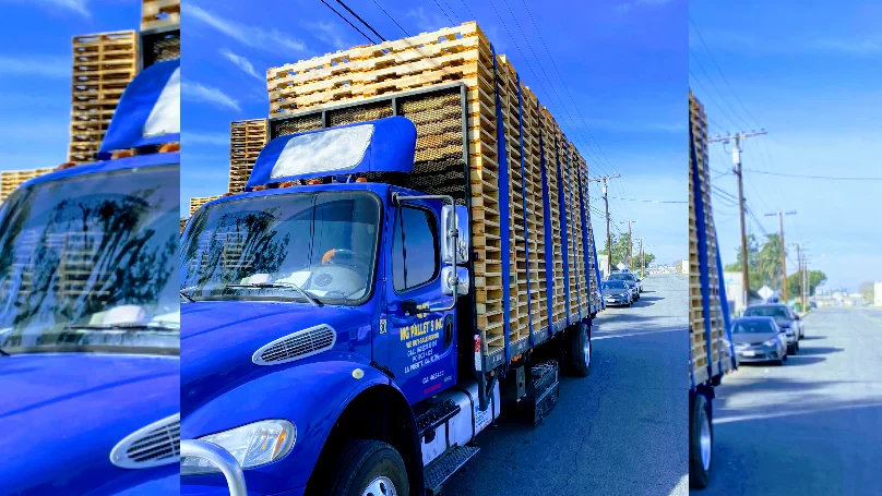 MG PALLETS
