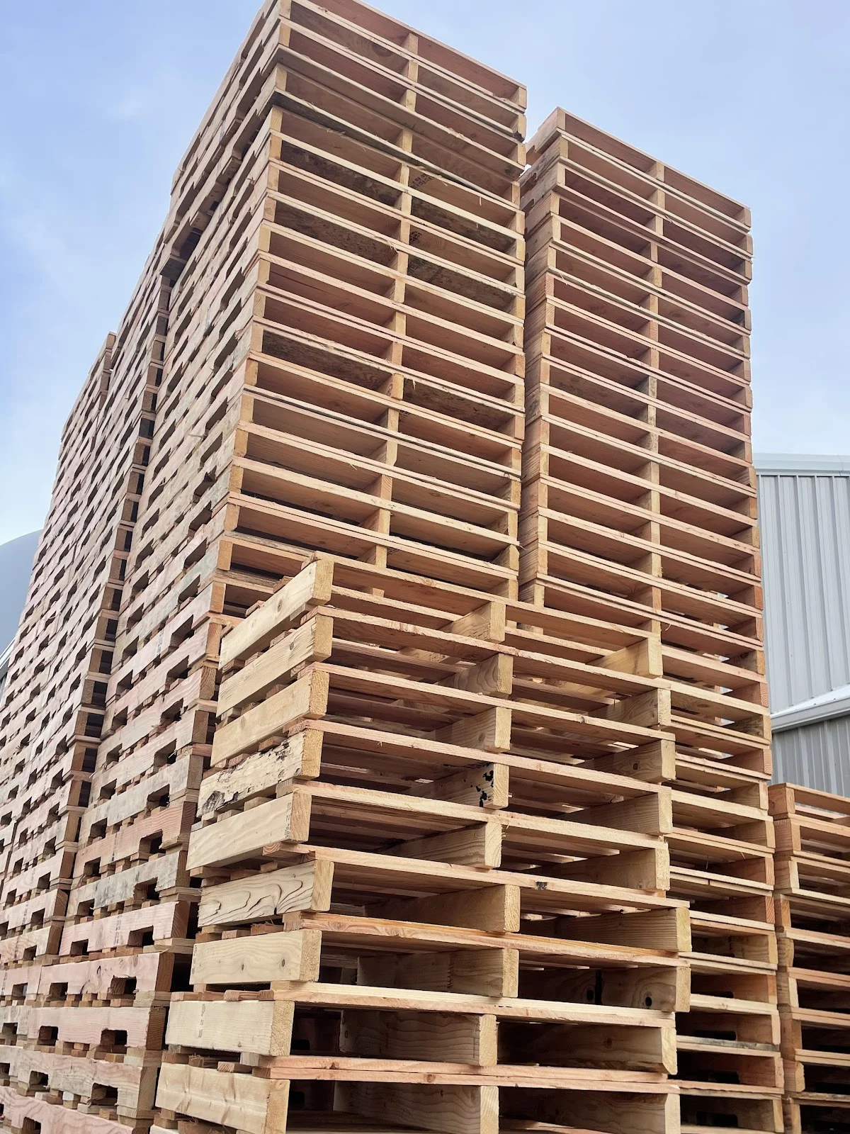 MVJ'S PALLETS