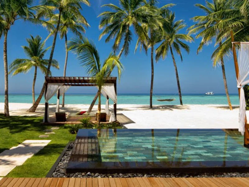Oasis Pool & Spa