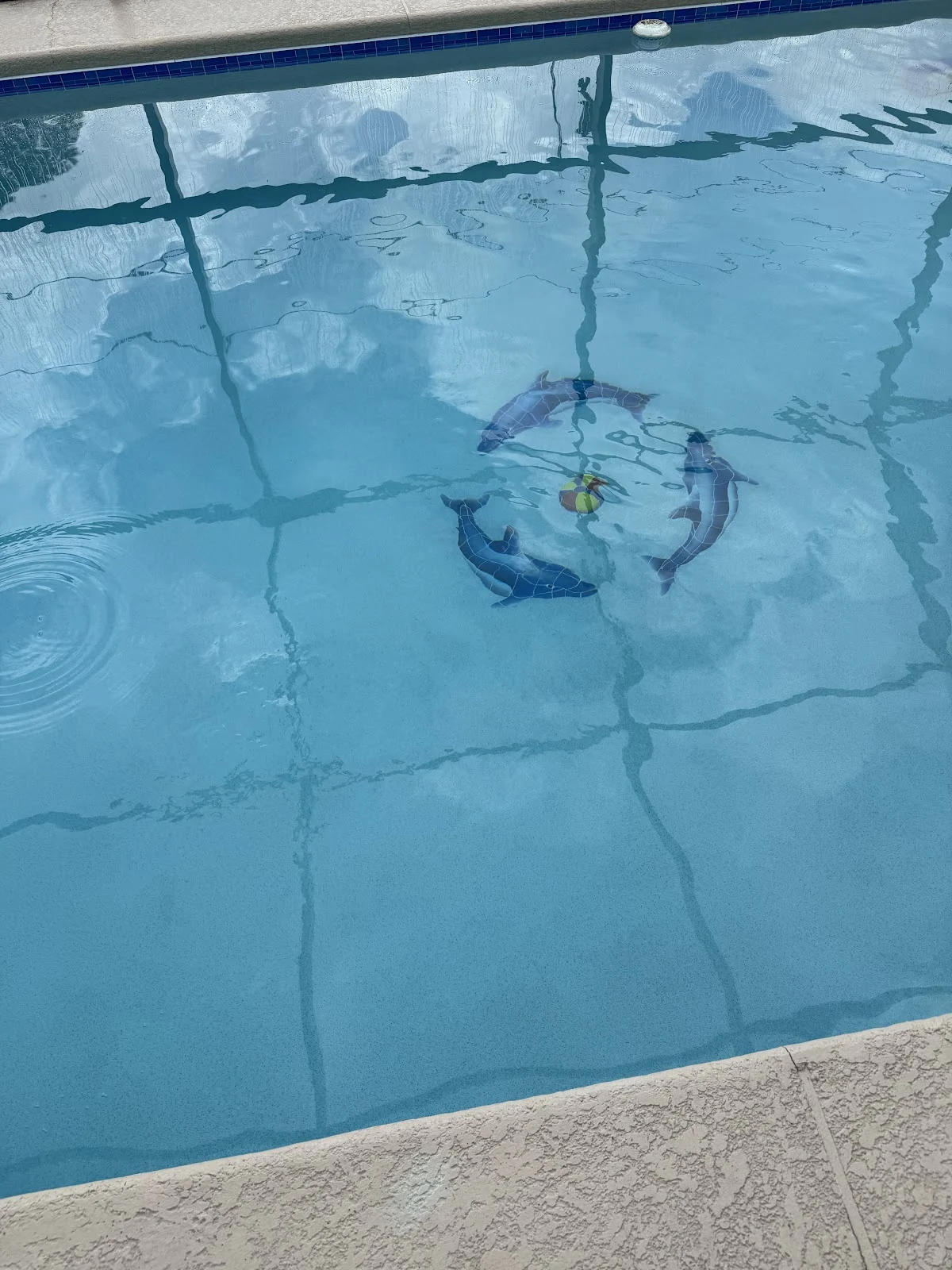 Pinch A Penny Pool Patio Spa - 2