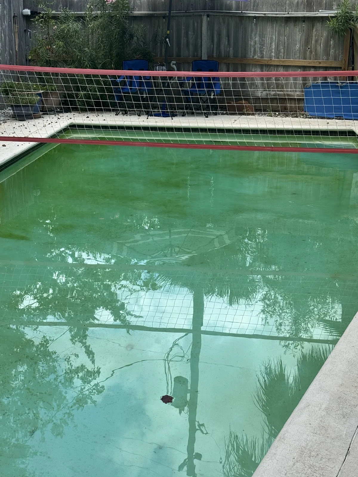 Pinch A Penny Pool Patio Spa - 2