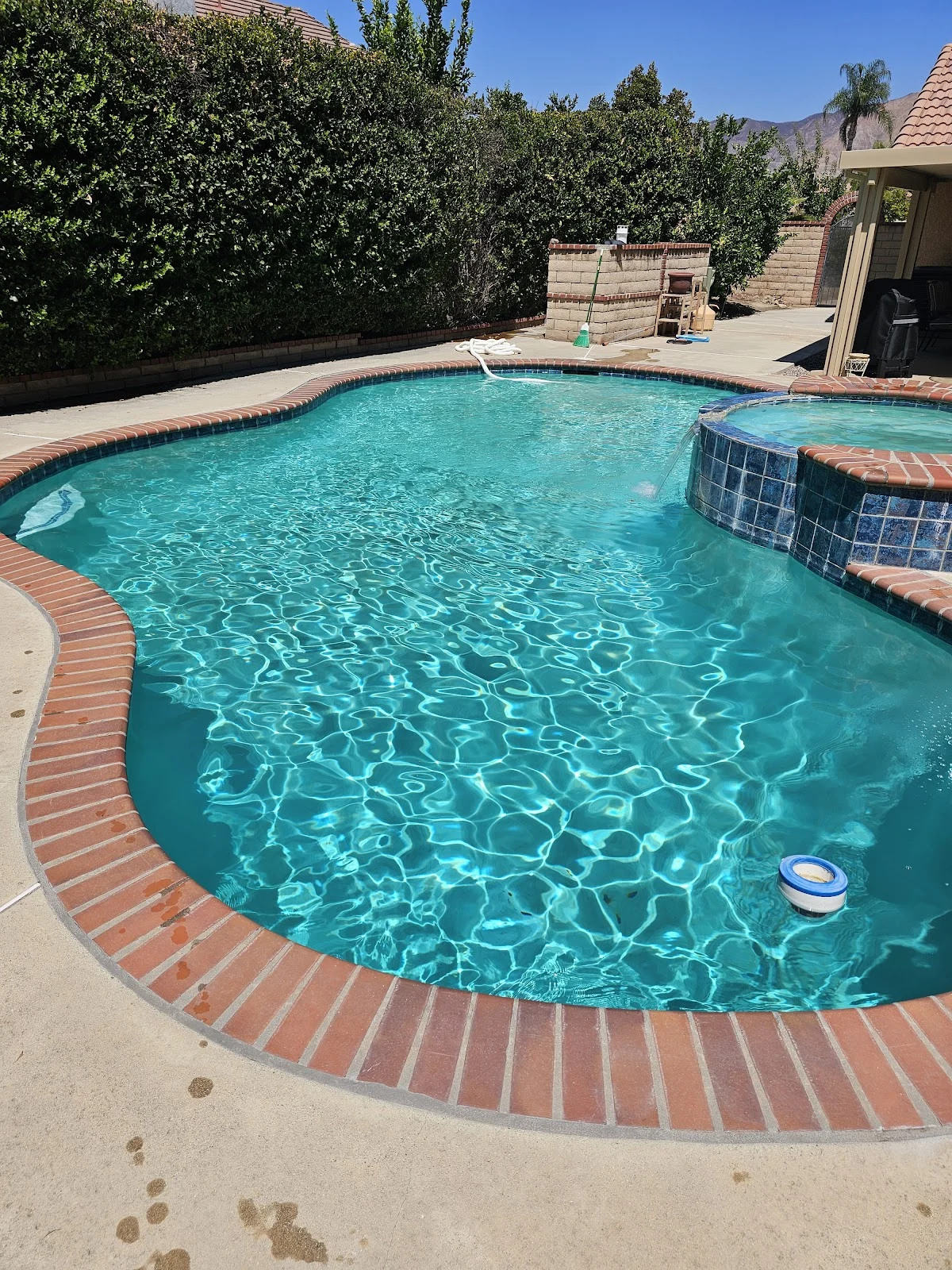 Pooligans Pool Care - 3