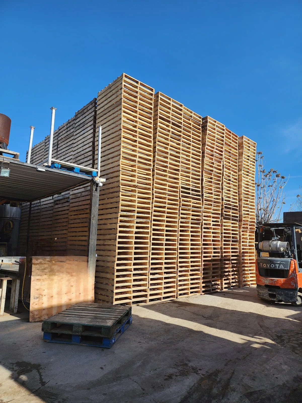 RAMS PALLETS