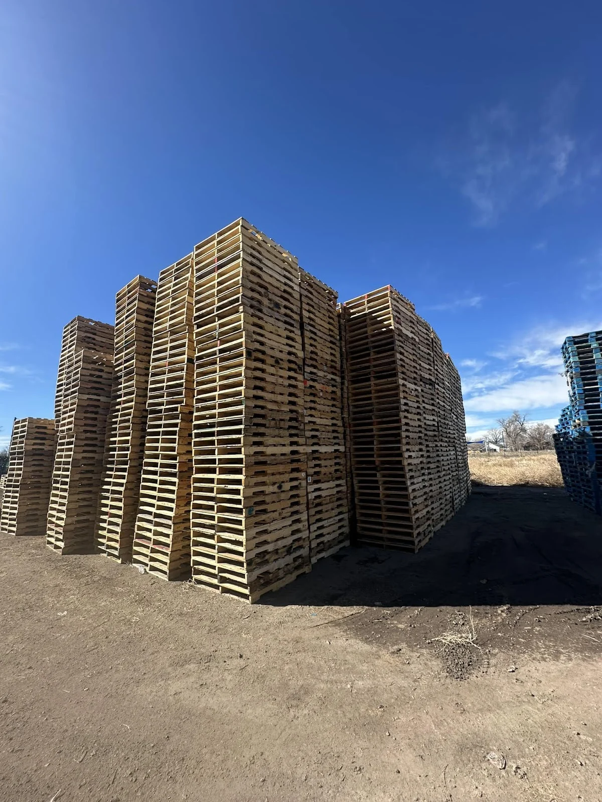 Rodeo Pallets Services - 2