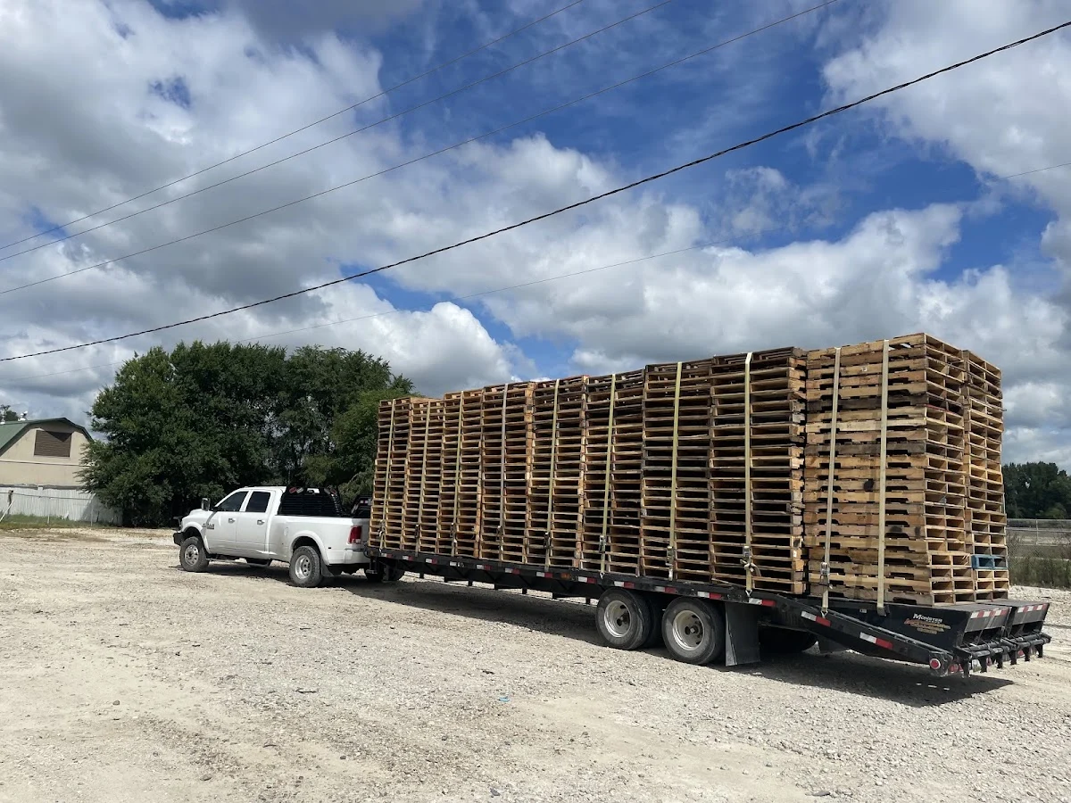 Rolos Pallets - 2