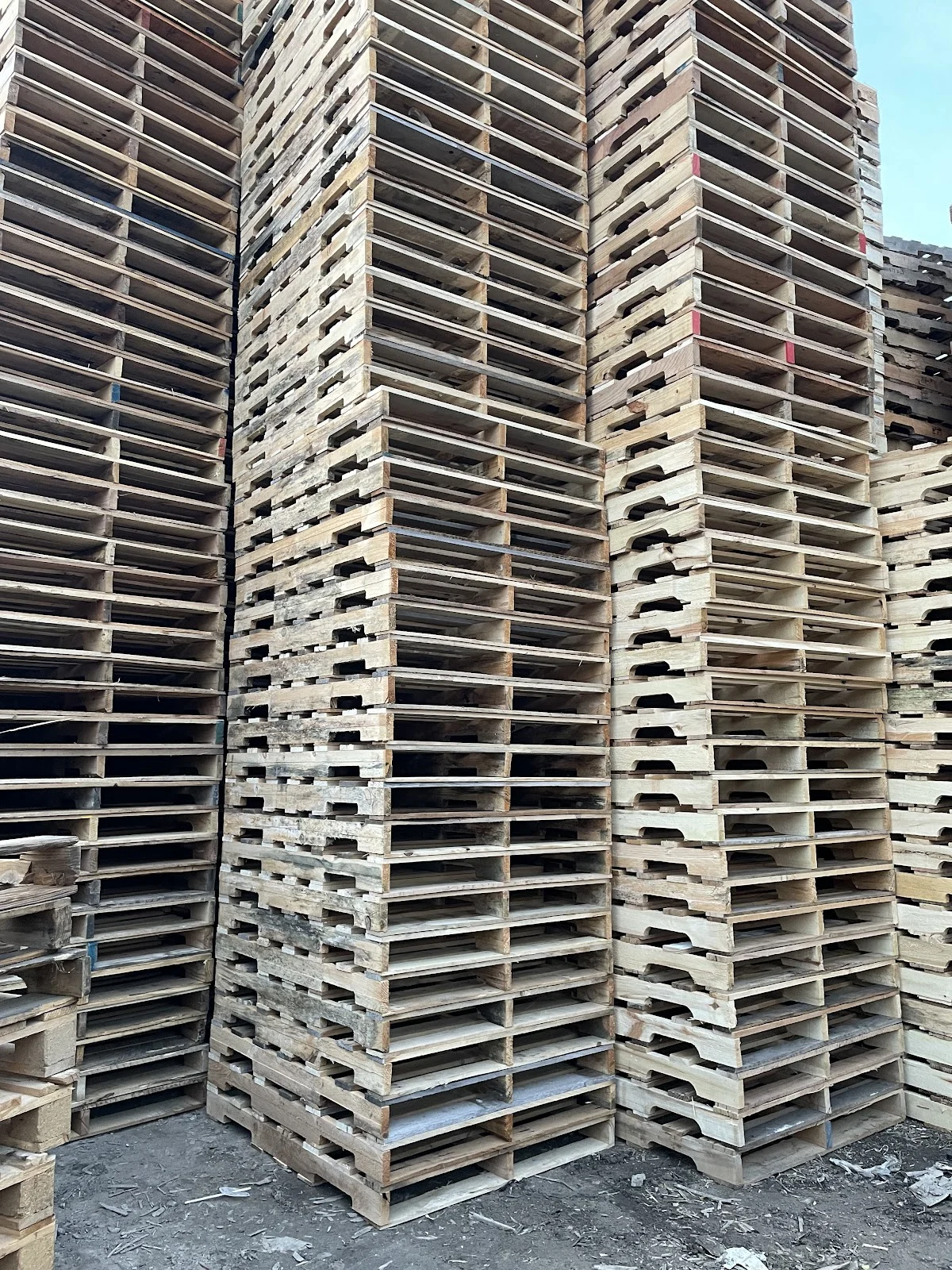 Rolos Pallets