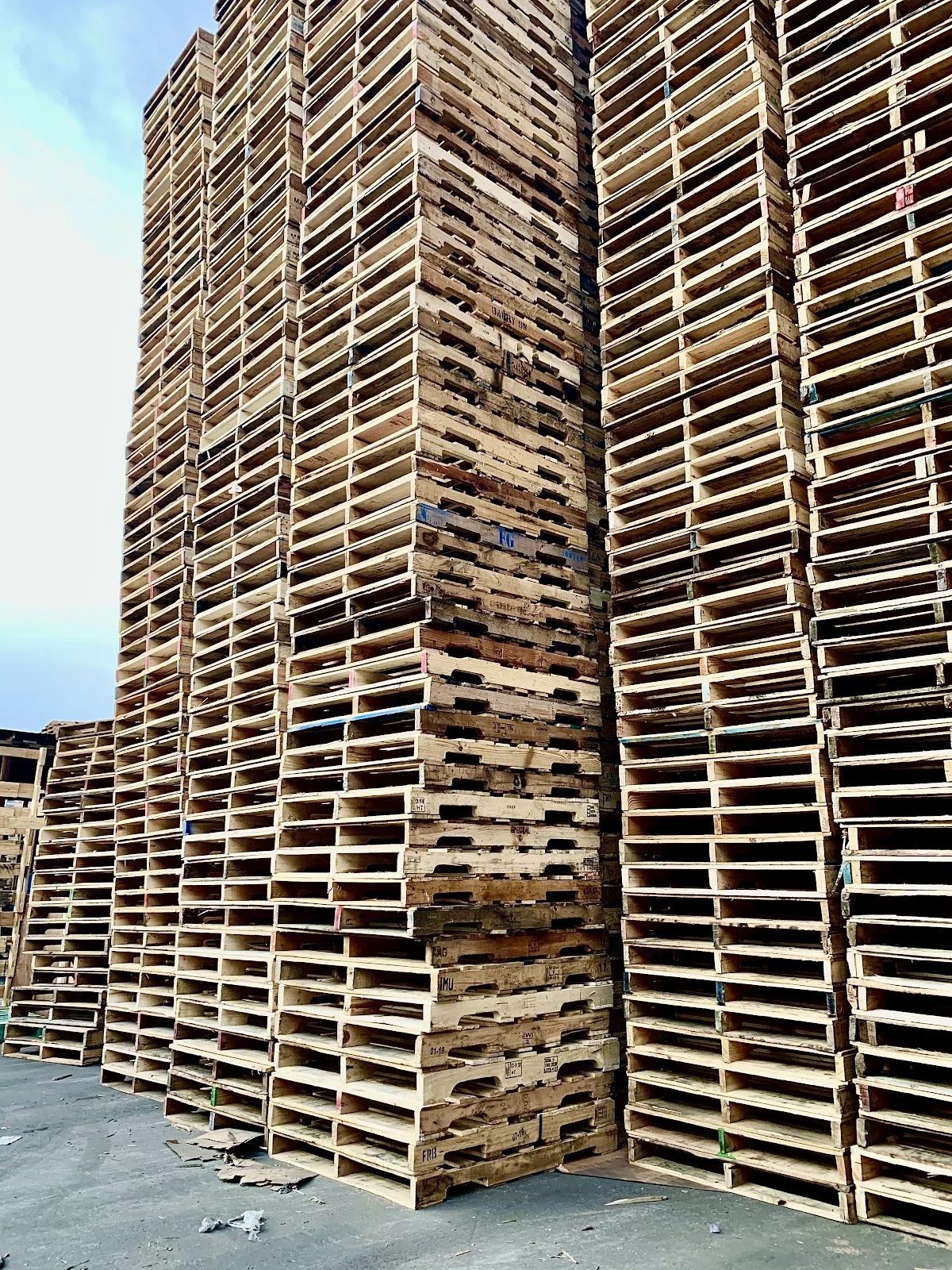 Sanjay Pallets