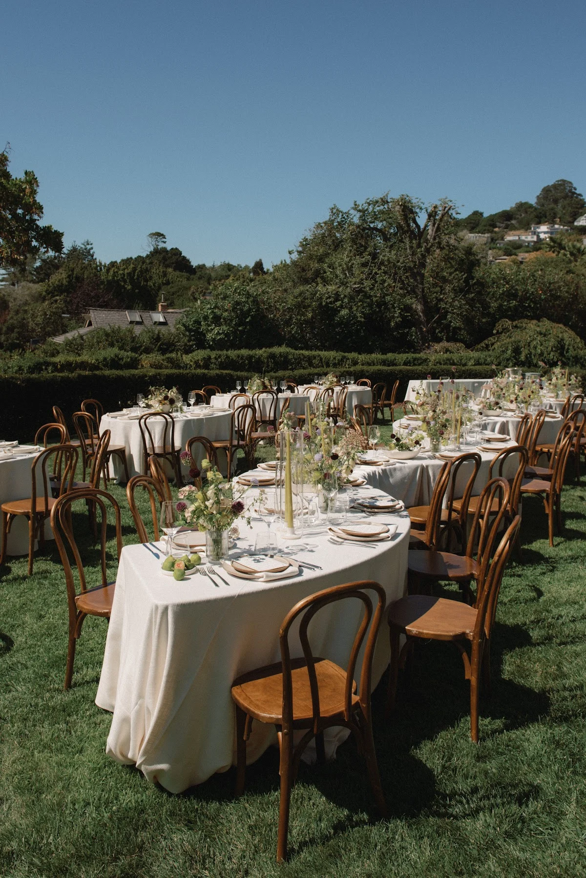 Standard Event Rentals - 2